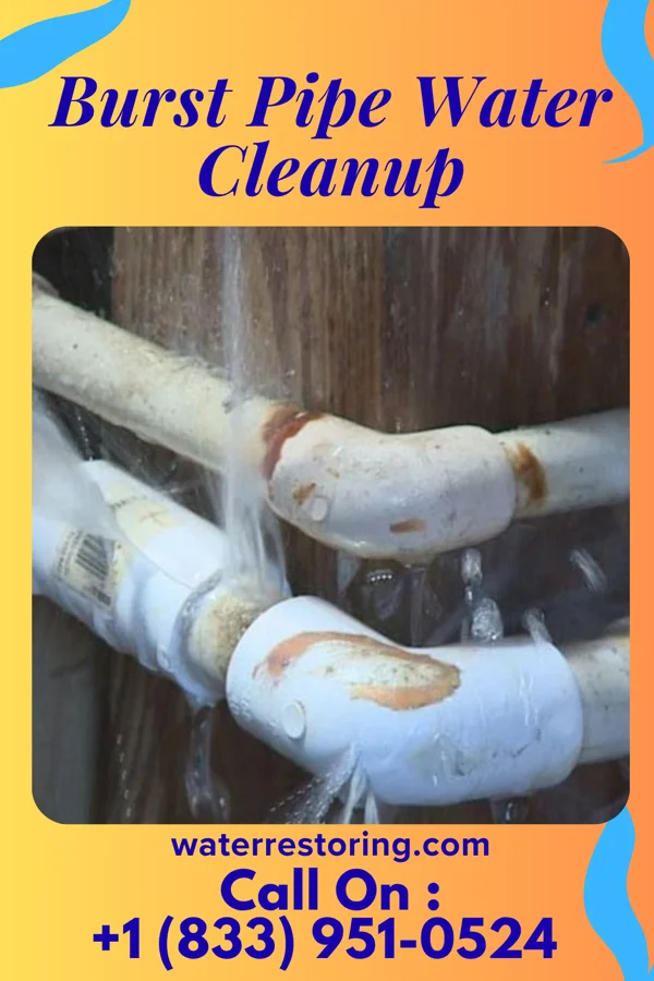 Burst Pipe Water Cleanup in Maxwell, IA