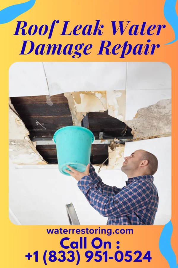 Roof Leak Water Damage Repair in Maxwell, IA