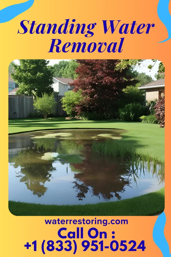 Standing Water Removal in Maxwell, IA